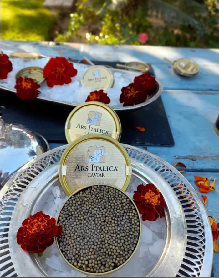 Buffets de caviar